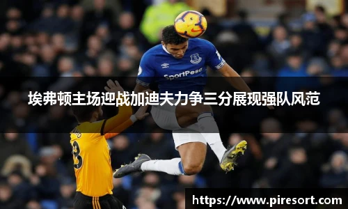 埃弗顿主场迎战加迪夫力争三分展现强队风范